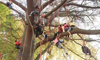 Activité grimpe d'arbre le 22 Juillet, 4 Août et 18 Août au domaine