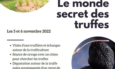 Weekend découverte : le monde secret des truffes les 5 & 6 novembre