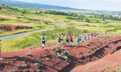 Vous avez une question sur le Tourisme & Expérience locale ? 🐑 