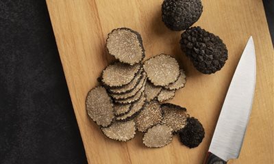 Journée d’Immersion au Cœur de la Truffe Noire au Domaine : Une Expérience Unique le 20 Décembre ! 