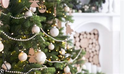 La Magie de Noël en Sud-Aveyron – Venez Vivre les Fêtes en Famille au Domaine le Vaxergues !🎄