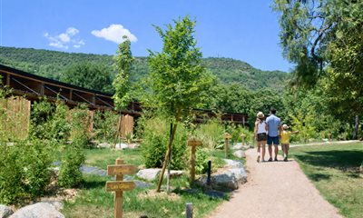 A new treasure hunt for children at the Domaine 🌳