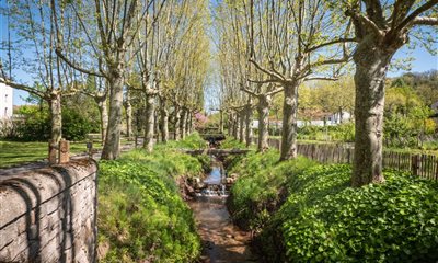 Profitez de votre séjour au domaine : détente, nature et chant des oiseaux