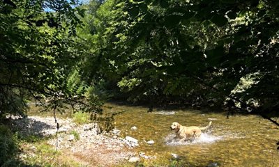 Accès direct à la Sorgue en Aveyron, au Domaine le Vaxergues