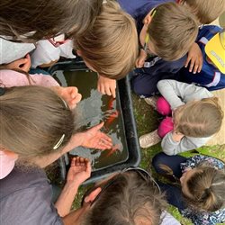 Anniversaire enfants Saint Affrique