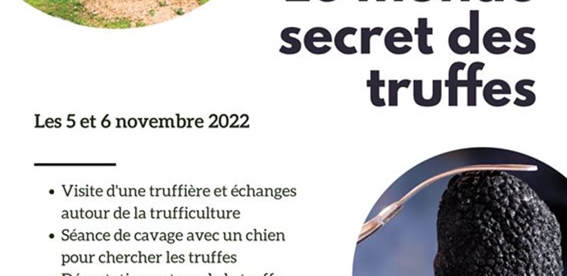 weekend truffes