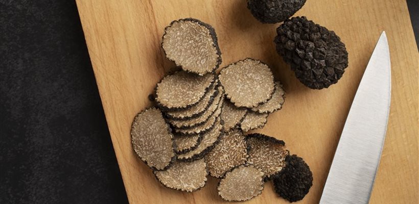 truffe aveyron, séjour à thème, cavage 