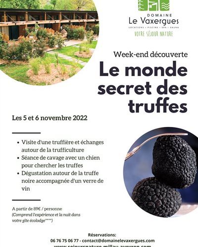 truffe noire