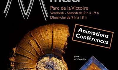 51 ème édition de la Bourse internationale des Minéraux, du 22 au 24 juillet 2022 à  Millau, capitale de la minéralogie